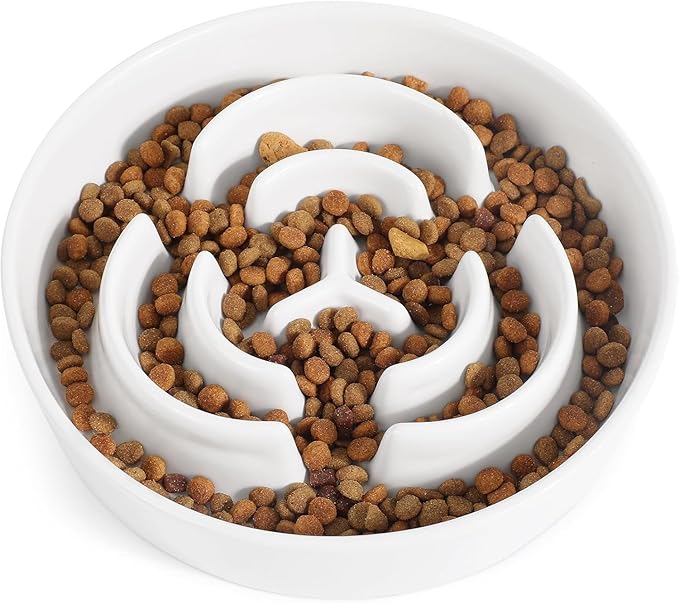 Ceramic Slow Feeder Dog Bowls,0.6 Cups Slow Feeder for Medium Large Breed,Puzzle Dog Food Bowl to Slow Down Eating, Anti-Gulping, Stop Bloat,Preventing Choking,6in,White