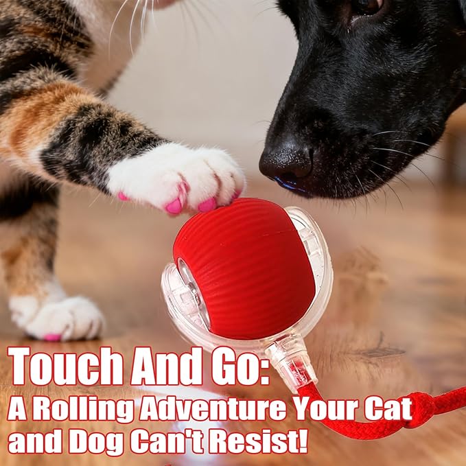 2025 New Interactive Dog Cat Toys Balls,Interactive Rolling Ball Cat Toy, 360° Smart Automatic Rolling Pet Ball, Fast Moving Toy for Dog and Cat(Red)