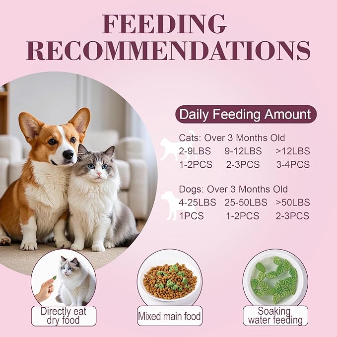 Dylan's cabin Freeze Dried Cat Grass Teething Treats - High Protein Leaf Crisps with Chicken, Egg Yolk Natural Chew Treats for Teeth Cleaning Hairball Control,86pcs