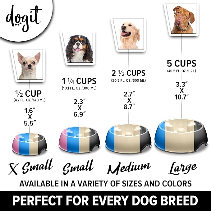 Dogit Slow Feeder Bowl for Wet or Dry Food, Go Slow Anti-Gulping Dish, Blue, Large