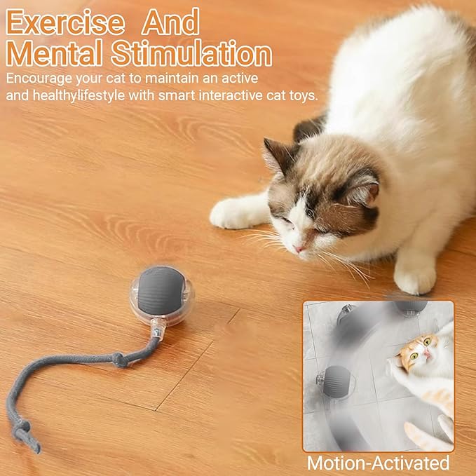 2025 New Interactive Dog Cat Toys Balls, Interactive Rolling Ball Cat Toy, 360° Smart Automatic Rolling Pet Ball (Grey, one Size)
