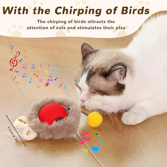 Interactive Cat Toys Ball for Indoor Cats, Speedy Tail 2.0 Cat Toy for Bored Indoor Adult Kitten, Silicone Automatic Fast Moving Rolling Ball with 3 Light Modes & DIY & Chirping Bird