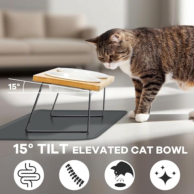 Upgraded Adjustable Height Cat Food Bowls Stand Ceramic Dog Bowls and Slow Feeder Cat Bowl, 15°Tilted Stand Anti Vomiting Raised for Small and Medium Sized Cats Dogs (White (2 Bowl+Pet mat))