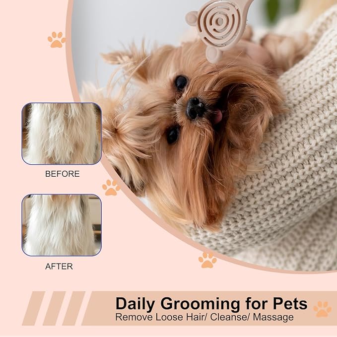 Cat-Ear Design Puppy Brush, Gentle Soft-Bristle Small Dogs Plastic Detangling Grooming Tool, Fit for Yorkie Shih Tzu Maltese Maltipoo (Blue)