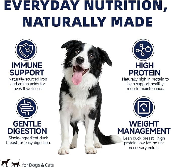 Freeze Dried Duck Breast Treats for Dogs & Cats, Single Ingredient High Protein Training Treats, Grain Free Raw Diet Meal Topper, 6 oz