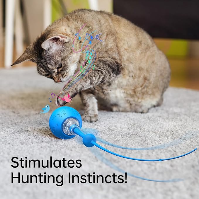 Interactive Cat & Dog Toys for Indoor Pets, Automatic Electric Self Rotating Ball with Chirping Sound, Motion Activated Long Tail - Smart Spinning Ball for Fun Exercise, Cats and Dogs Play, Blue