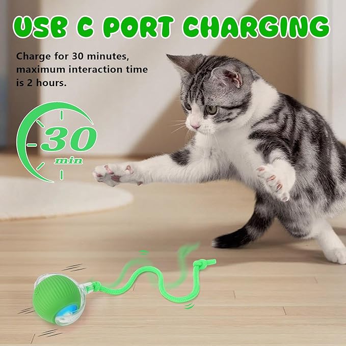 Interactive Cat Toys Ball for Indoor, USB Rechargeable Automatic Interactive Cat Toys with Speedy Tail Rope for Cats, Keep Them Busy