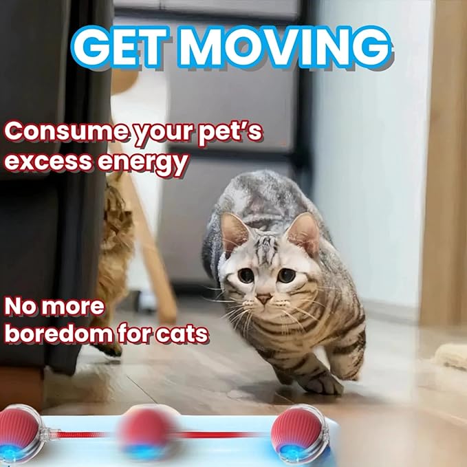 Interactive Cat Toy Balls, Upgraded Cat Toys for Indoor Cats, Smart Self Rolling Interactive Cat Dog Ball, Automatic Moving Peppy Pet Ball for Bored Indoor Adult Cats Kitten Specification(Green)