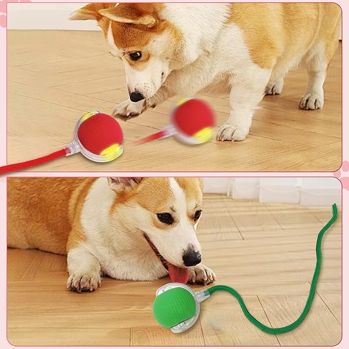 New Interactive Rolling Dog Ball, 360° Smart Pet Toy Ball, Self Rolling Ball Cat Toys for Small Medium Dogs Cats, Green 1pcs