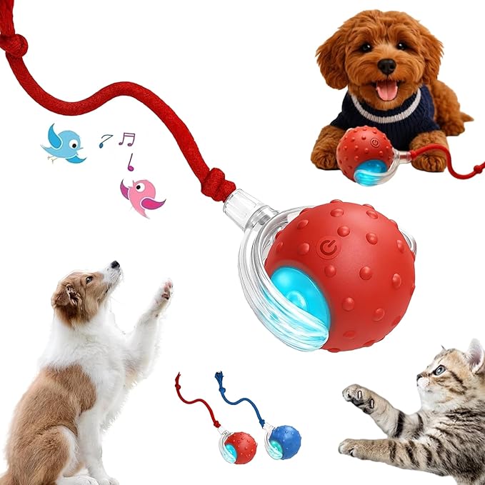 2026 New Interactive Fast Moving Toys Balls with Birdsong, Interactive Dog Cat Toys Balls, 360° Smart Automatic Rolling Electric Dog Ball Toy with Rope for Dogs and Cat Indoor Play (Red)