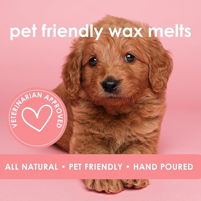 Soleil | Pet Friendly Wax Melts | Natural Soy | Clean Burning | Non-Toxic | Veterinarian Approved | Pet Odor Eliminator | Air Freshening Scented Wax Melts