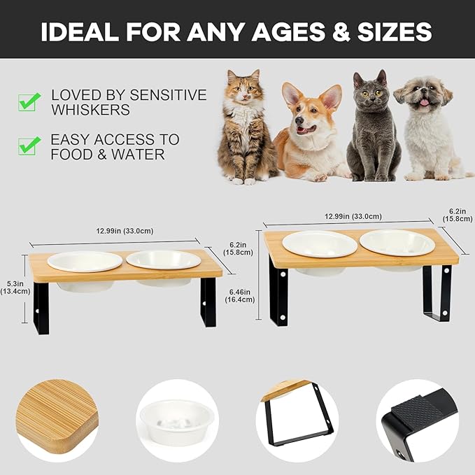 Upgraded Adjustable Height Cat Food Bowls Stand Ceramic Dog Bowls and Slow Feeder Cat Bowl, 15°Tilted Stand Anti Vomiting Raised for Small and Medium Sized Cats Dogs (White (2 Bowl+Pet mat))