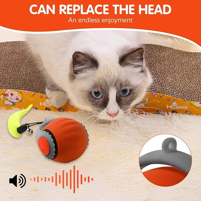 2 Pack Interactive Cat Toy Ball, Cat Enrichment Toys for Indoor Cats for Bored Indoor Adult Cats, Motion Activated