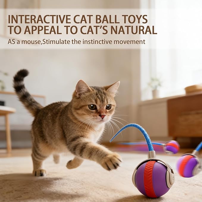 Interactive Cat Toy Ball, Automatic Moving Cat Toy with 2 Speed Modes Bite-Resistant Mouse Tail Bird Chirping Sounds Indoor Play Ball for Cats (Purple)