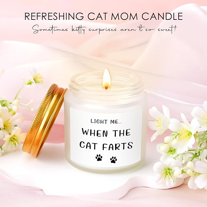 Cat Mom Gifts for Women Unique Cat Themed Gift for Cats Lovers Gifts for Women Funny Cats Accessories for Woman - Kitty Paw Socks Keychain Pen Candle Cup Sticky Notes Makeup Bag Card