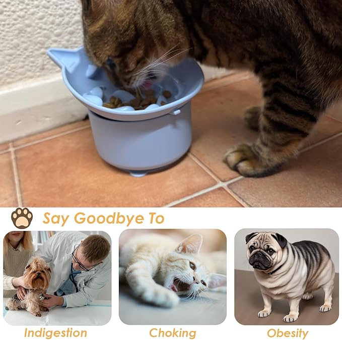 Elevated Cat Bowl, Silicone Pet Bowls for Food and Water, Wide Shallow Kitten Food Dish, Whisker Fatigue, Lead & Cadmium Free, Great Height for Cat (Sky Blue)