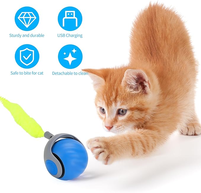 Speedy Tail Automatic Cat Ball Toy Self Rolling Moving Self-Rotating Cat Exercise Ball USB Rechargeable Interactive Hunting Cat Toy (Upgrade Blue)
