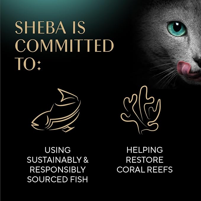 Sheba Perfect Portions Wet Cat Food Cuts in Gravy, Roasted Chicken, with Sustainable Tuna, Tender Turkey Entree, 2.6 oz. Twin-Pack Trays (36 Count, 72 Servings)