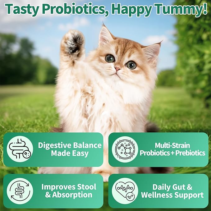 Cat Probiotics Treats for Digestive & Gut Support - 500 Crunchy & Creamy Cat Snacks - Cat Gut Health, Constipation Relief, Healthy Stool, Natural Supplement for Cats, Chicken Flavor (90-Day Supply)