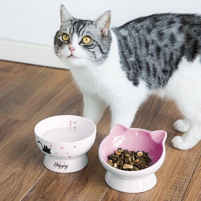 Porcelain Raised cat Bowl, 15-Ounce Raised Porcelain pet Bowl - Protects Your pet's Spine, Large-Capacity Non-Overflowing pet Bowl with Anti-Slip Strap, Dishwasher Safe (Pink)
