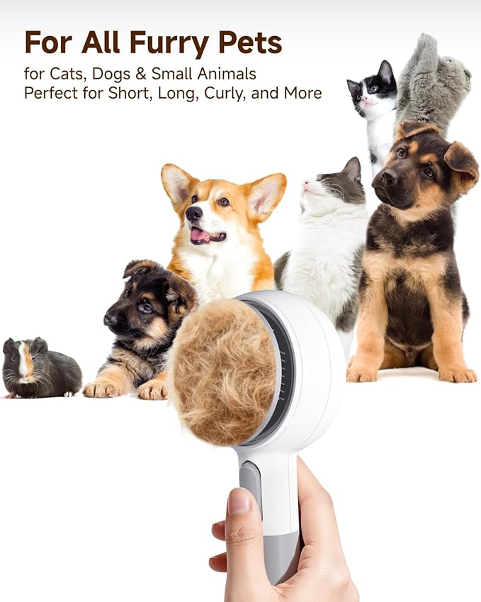 Pet Spray Brush for Cats & Dogs, 3-in-1 Grooming Tool with Steam Mist, 2-Speed Spray Settings, Removes Dander & Deshedding, One-Touch Self-Cleaning Hair Brush, for Long Short Hair Pets