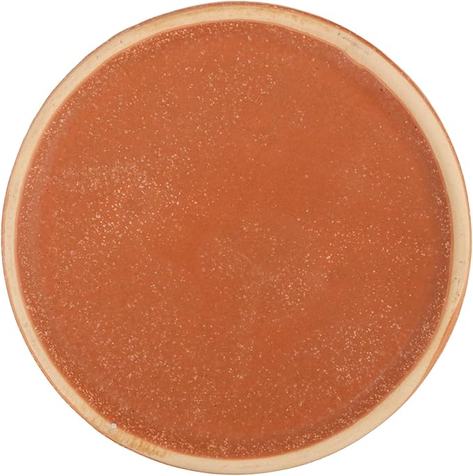 Ceramic Slow Feeder Cat Bowl, 6 Inch Shallow, Whisker Friendly, Dishwasher Safe (Orange)