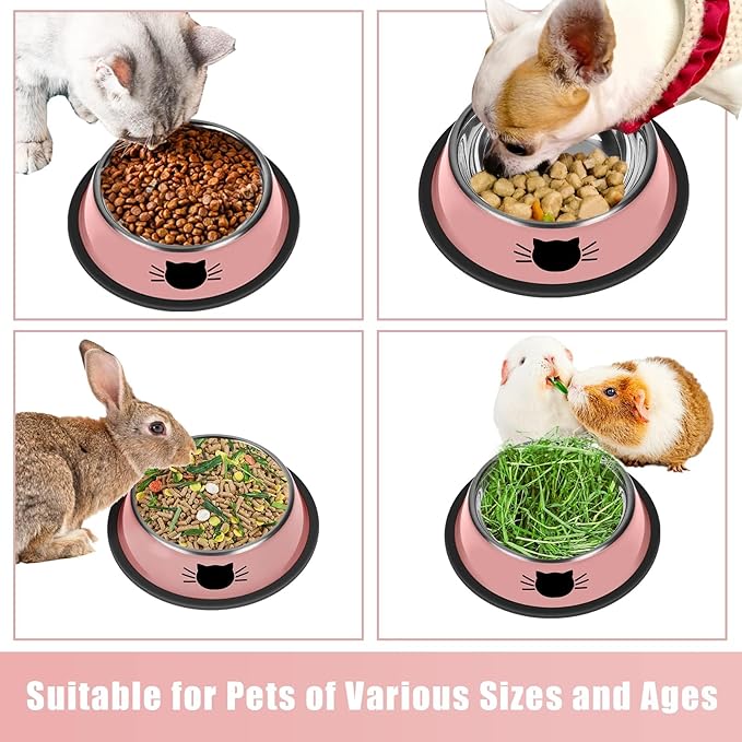 2 Pcs Non-Slip Stainless Steel Small Cat Food Bowls - Unbreakable, Thicken 7 Oz Cat Dishes - Indoor, Removable Rubber Base, Easily Clean, Lovely Color