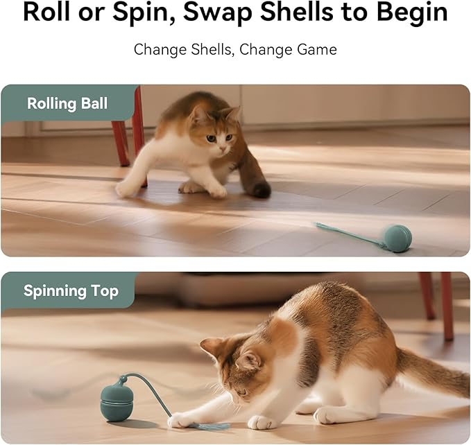 2 in 1 Interactive Cat Toys for Indoor Cats - Wicked Ball Duo2 Automatic Cat Toy, Rolling Ball & Spinning Top, Electric Cat Toy Balls with Chirping Sounds & Speedy Tail, Moving Kitten Toys