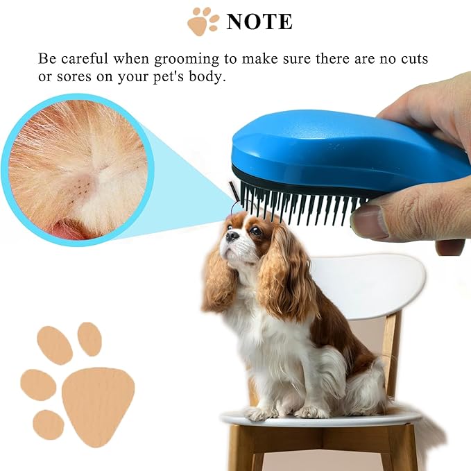 Small Dog Brush, Soft Pet Grooming Brush for Shih Tzus, Yorkies, Maltipoos, Maltese, Puppy Massaging Hair Brush, Cat Brush, for Small Animals Rabbits of All Hair Types (Golden)