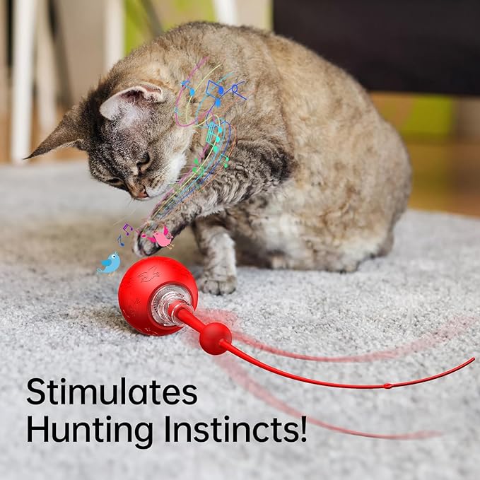 Interactive Cat & Dog Toys for Indoor Pets, Automatic Electric Self Rotating Ball with Chirping Sound, Motion Activated Long Tail - Smart Spinning Ball for Fun Exercise, Cats and Dogs Play, Red