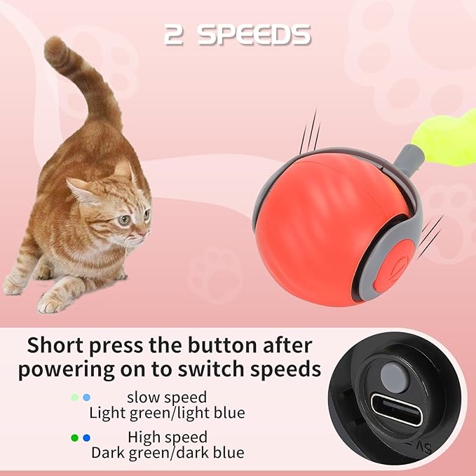 Speedy Tail Automatic Cat Ball Toy Self Rolling Moving Self-Rotating Cat Exercise Ball USB Rechargeable Interactive Hunting Cat Toy (Upgrade Orange)