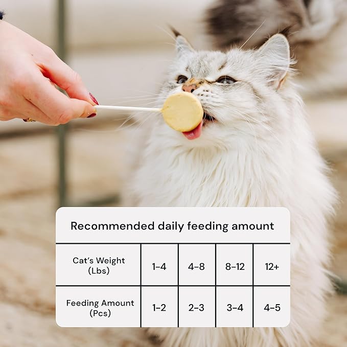 MalsiPree Cat Lollipop Treats - Interactive Cat Toy & Freeze Dried Cat Treats - Fun Suckers & Pops - Healthy Cat Birthday Treats, Cake Alternative & Snack - Food Toppers Chicken & Pumpkin, 18 Pack