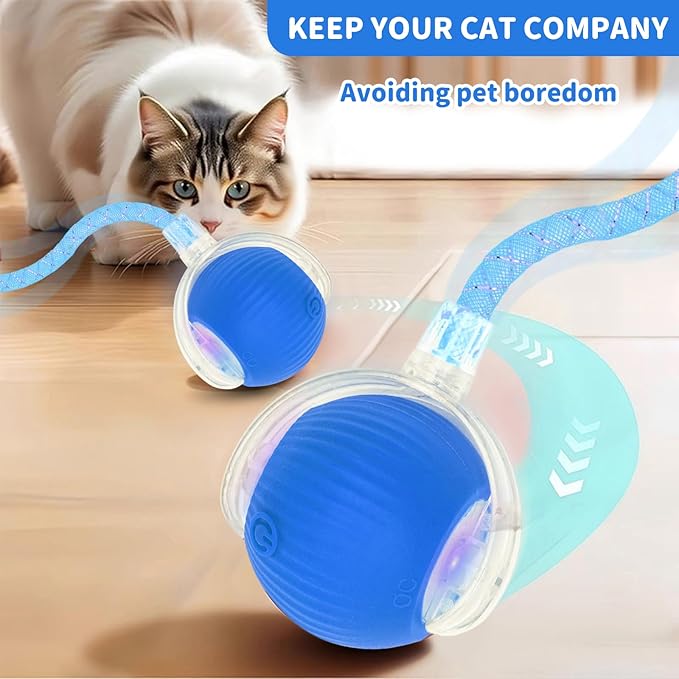Interactive Cat Toys for Indoor Cats Smart Automatic Ball Rolling for Bored Kitten Pet Upgraded Speedy Moving Chase Dogs Toy Easter Gifts Blue Dragonfly