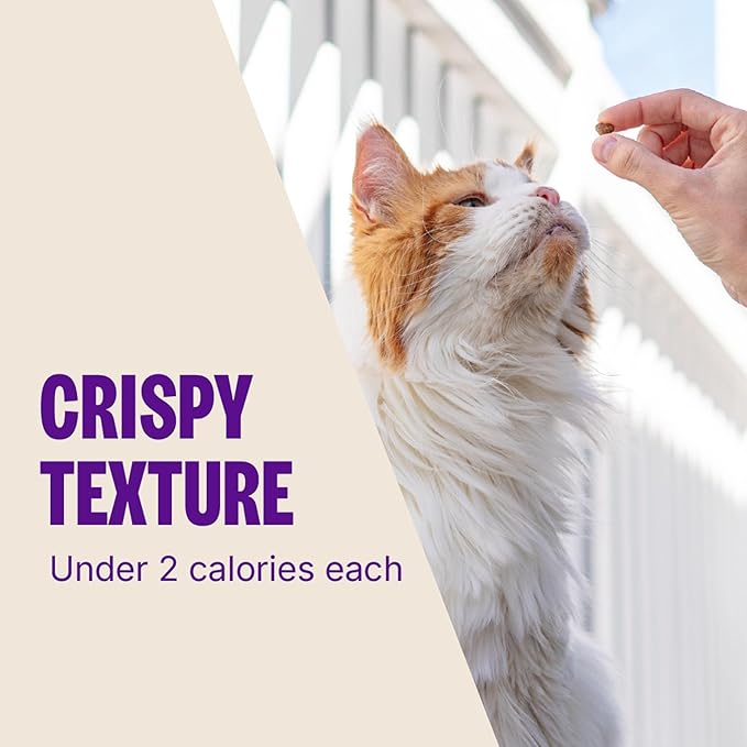 Wellness Kittles Crunchy Natural Grain Free Cat Treats, Tuna & Cranberries Recipe, All Life Stages, 6-Ounce Bag