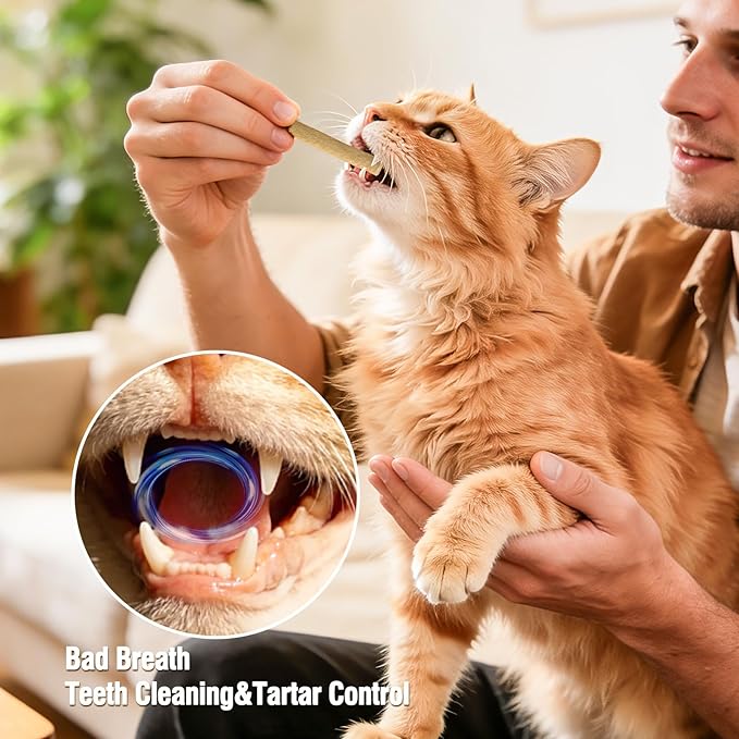 Freezed Dried Cat Teething Sticks, Cat Chew Stick for Dental Care, 1.77 oz Salmon and Chicken Flavour Cats Treats, Feline Freshens Breath Snacks