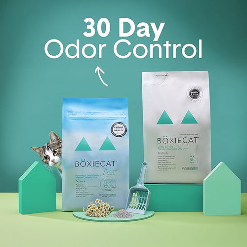 Boxie Gently Scented Cat Litter, Lightweight 30-Day Odor Control, Clumping, 11.5lb