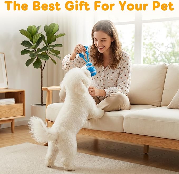 Interactive Dog Toy with Motion Activated, Automatic Rolling and Bouncing Moving Dog Toy, Squeaky Rolling Balls with Flashing Light, USB Rechargeable Chew Toys Pet Ball to Keep Them Busy