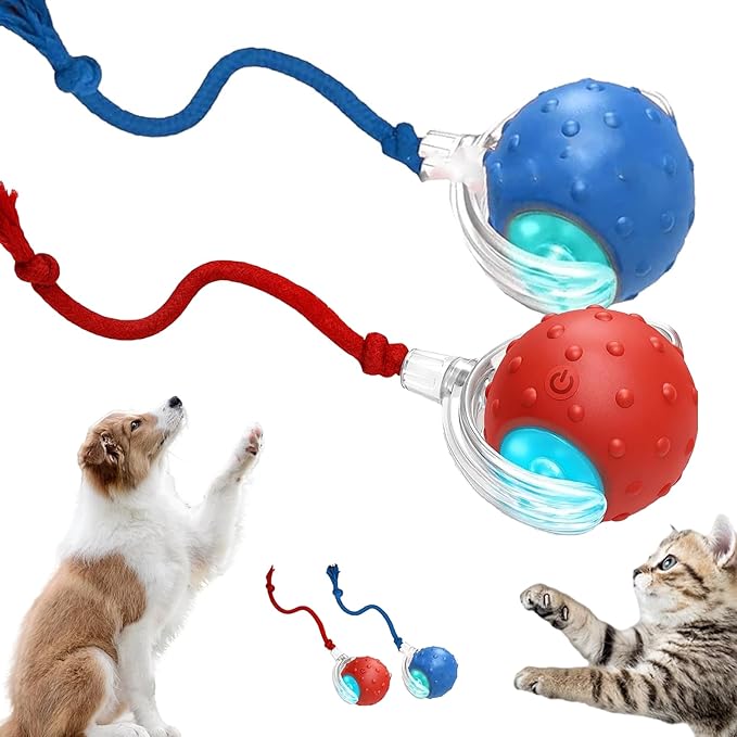 2026 New Interactive Fast Moving Toys Balls with Birdsong, 360° Smart Automatic Rolling Electric Dog Ball Toy with Rope for Dogs and Cat Indoor Play (Mix)