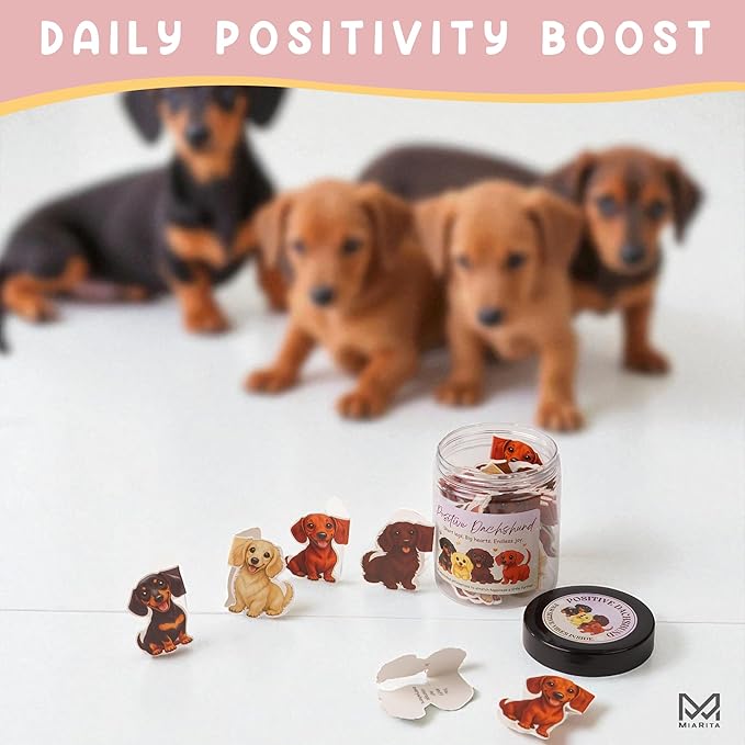 Miarita Positive Dachshund Jar – 60 Affirmation Cards for Anxiety & Self Care, Dachshund Gifts For Women, Dog Mom Gifts For Women, Weiner Dog Gift