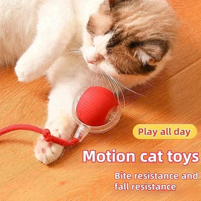 Interactive Pet Toy Ball, Interactive Cat Toys Ball for Indoor Cats Fast Rolling on Carpet, 360° Automatic Rolling BallToy for Dog/Cats