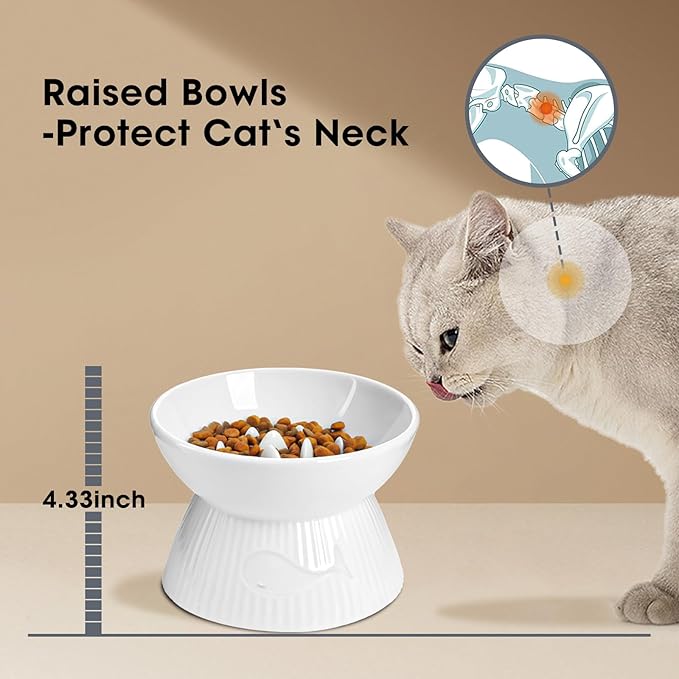 Raised Cat Slow Feeder, Ceramic Slow Feeder Cat Bowl, Upgraded Ridges to Prevent Vomiting and Indigestion, No Spill High Edge for Dry/Wet Food, Heavy and Stable, Easy to Clean Pet Bowls