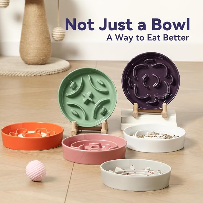 Ceramic Slow Feeder Dog Bowl - Feeding Dish for Fast Eaters - Maze Dog Bowl to Slow Down Eating - Ideal Food Control Dish for Small Breeds - 0.8 Cups (80g) - 6.3 Inch - Orange