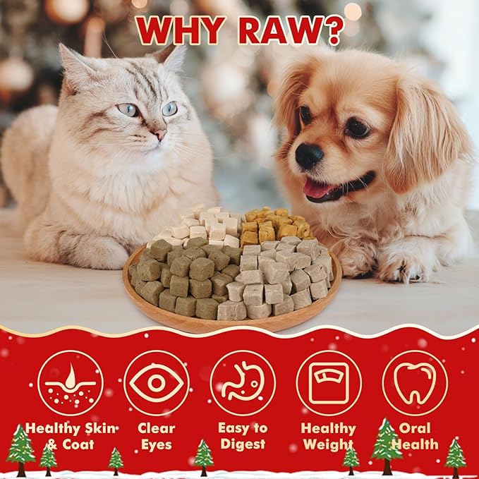 Freeze Dried Cats & Dogs Treats - 4 Single-Ingredient Raw Flavors (Chicken/Duck/Salmon/Liver), 50g x 4 Bags, All Natural High Protein Pet Training Treats