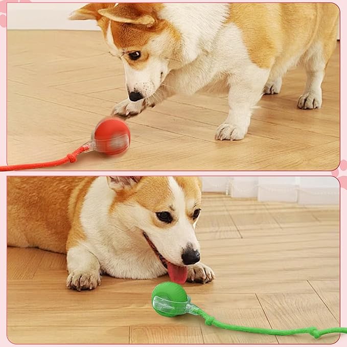 New Interactive Rolling Dog Ball, 360° Interactive Cat Toys for Indoor Cats, Electric Balls for Small Medium Dogs Cats, Grey 1pcs