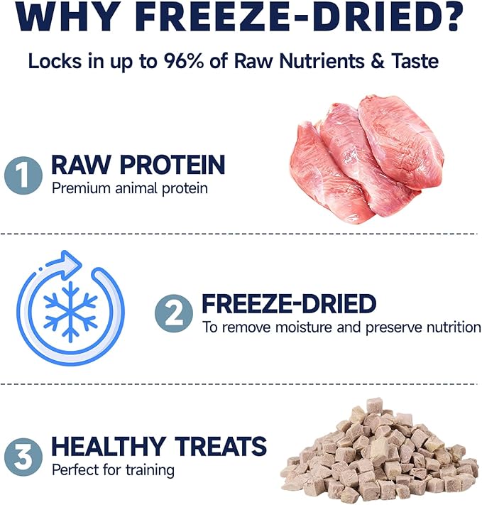 Freeze Dried Duck Breast Treats for Dogs & Cats, Single Ingredient High Protein Training Treats, Grain Free Raw Diet Meal Topper, 6 oz
