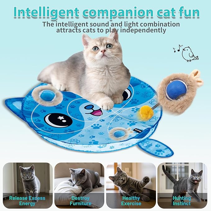 Interactive Cat Toy Electric Fast-Rolling Ball with Automatic Standby Active Mode Chirping LED Light with Sound Cat Hunting Toys for Indoor Cats