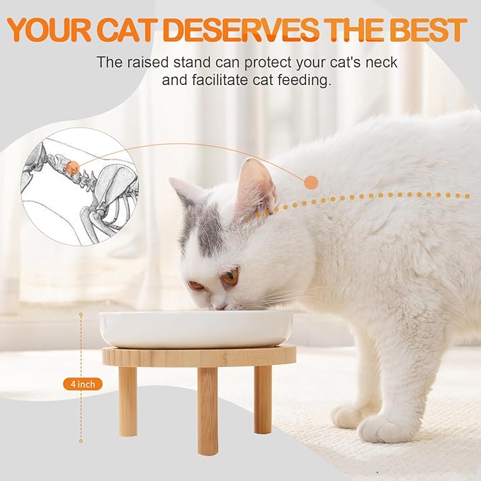 Raised Slow Feeder Cat Bowl, 5.9 Inch Wide Shallow Ceramic Elevated Glass Food Bowl Puzzle Feeders, Anti Vomit Cat Dish, Whisker Friendly Pet Plates Feeding Station for Cats(2 Slow Feeder)