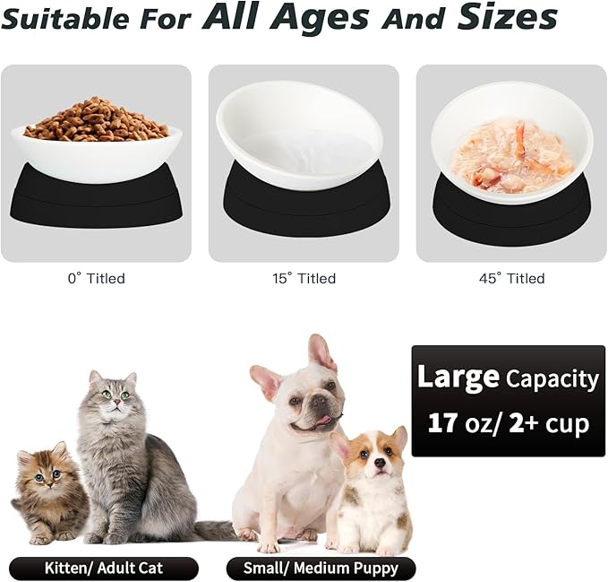 Ravitat 2Pcs Elevated Cat Food Bowl - Adjustable, Anti-Slip & Anti-Noise, Protects Pet's Spine - Thickened Plastic, 17 Oz