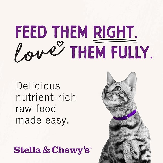 Stella & Chewy's Freeze-Dried Raw Cat Dinner Morsels - Premium Chicken Recipe with 98% Cage-Free Meat & Organs - Natural Grain-Free Cat & Kitten Food - Made in USA - 1 oz (Pack of 6)