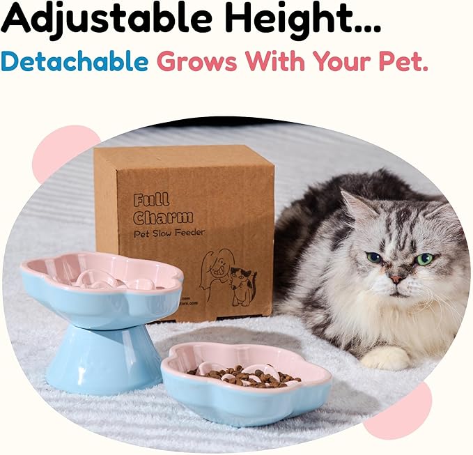 2Pc Raised Slow Feeder Cat Bowl, Melamine Elevated Cat Bowls - Heavy Weighted, Break Resistant, Tilted Slow Feeder Bowl for Cats and Small Dogs, Non-Slip, Dry & Wet Food, Whisker Friendly (Pink, 5.8"